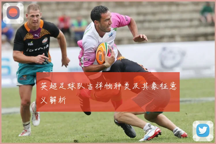 英超足球队吉祥物种类及其象征意义解析