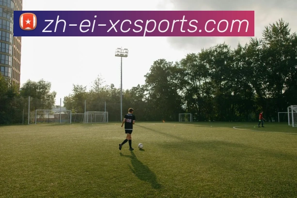 杏彩体育发展历程